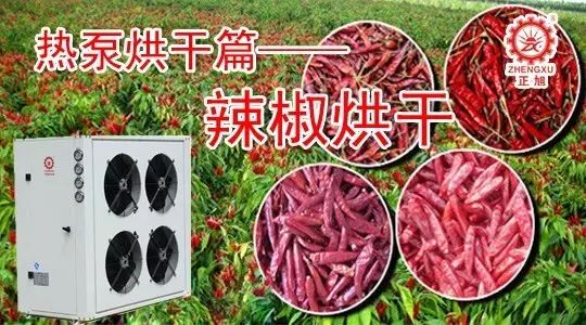 正旭高溫熱泵烘干辣椒 正旭高溫熱泵烘干辣椒
