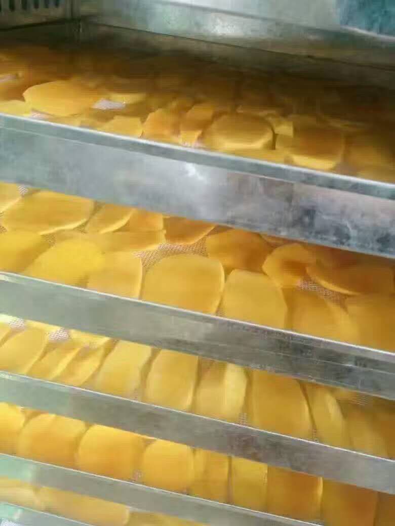 芒果烘干工藝和烘干最佳溫度 芒果烘干工藝和烘干最佳溫度