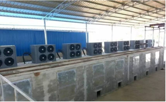 揭開檳榔烘干神秘面紗 揭開檳榔烘干神秘面紗