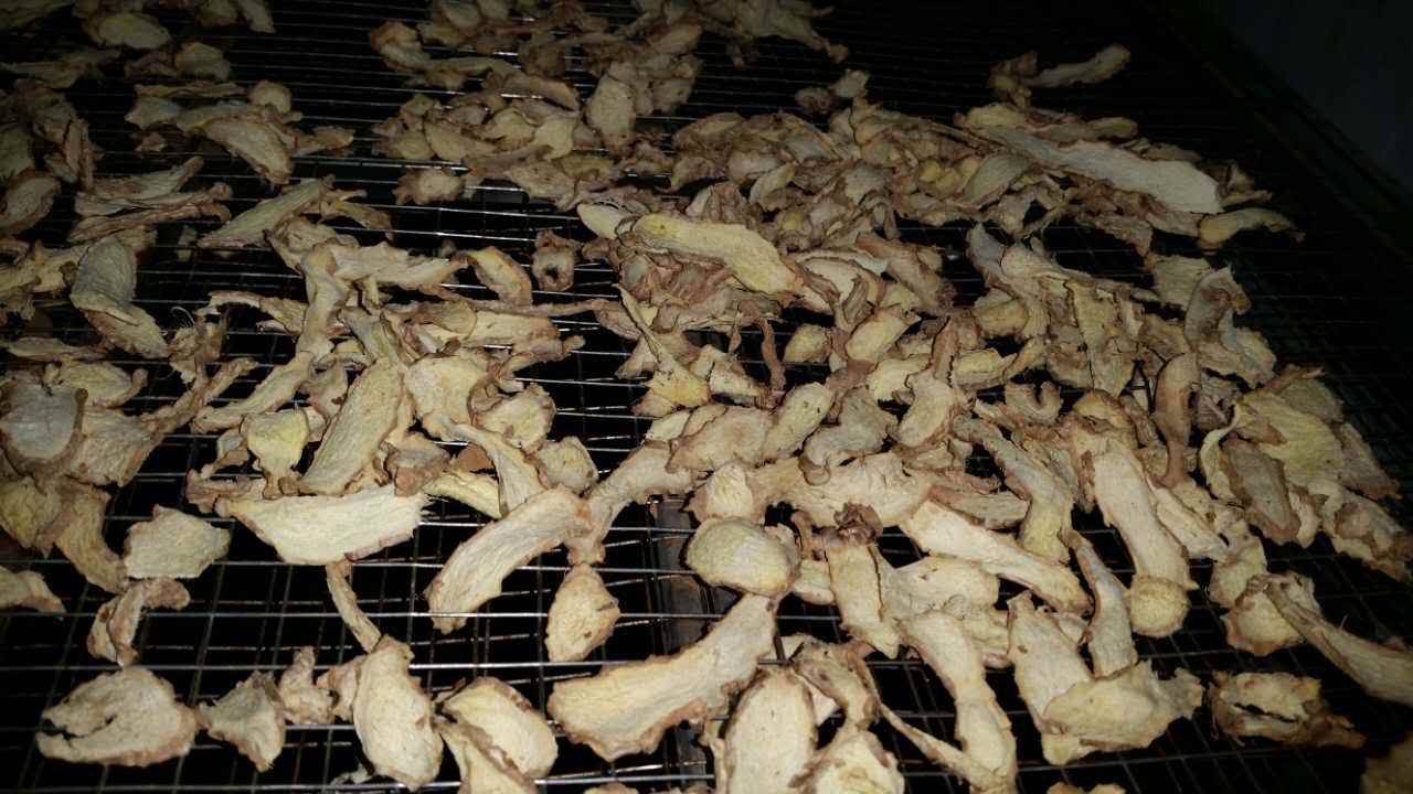 生姜熱泵烘干機價格 生姜熱泵烘干機價格