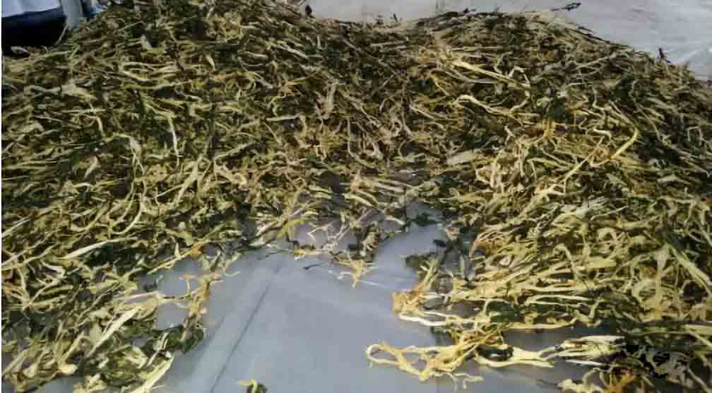 空氣能芥菜烘干工藝 空氣能芥菜烘干工藝