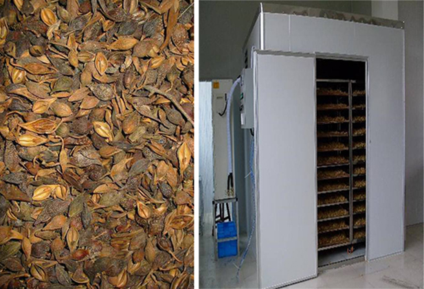 水果蔬菜烘干機要多少錢 水果蔬菜烘干機要多少錢