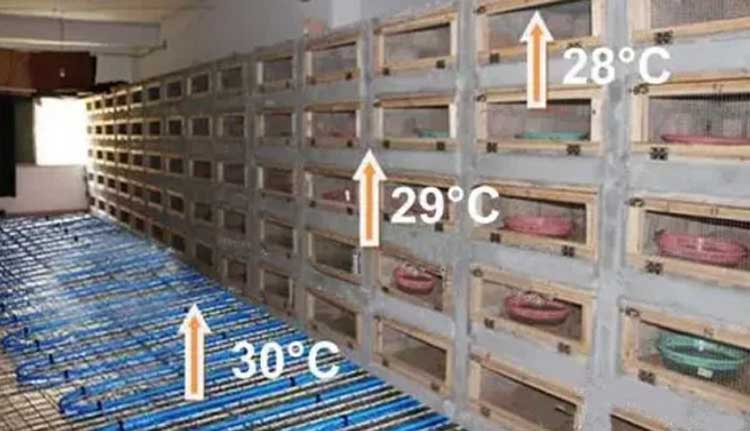 空氣能蛇養殖采暖機組空氣能熱泵采暖畜牧采暖空氣能養蛇采暖 空氣能蛇養殖采暖機組空氣能熱泵采暖畜牧采暖空氣能養蛇采暖